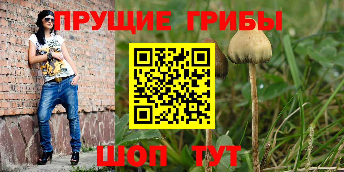 Галлюциногенные грибы прущие грибы Артём