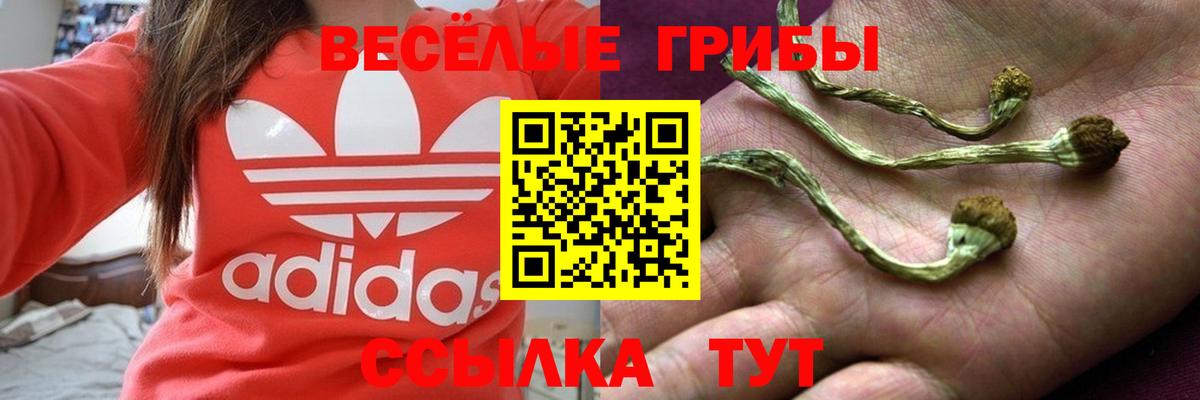 Артём  Галлюциногенные грибы прущие грибы  Вход с VPN 